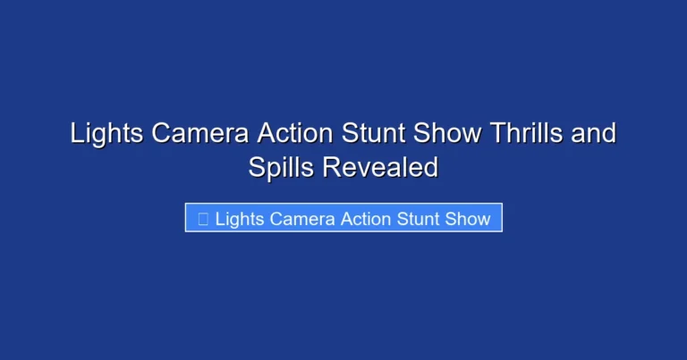 Lights Camera Action Stunt Show Thrills and Spills Revealed