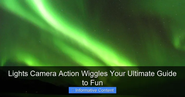 Lights Camera Action Wiggles Your Ultimate Guide to Fun