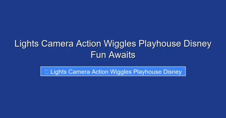 Lights Camera Action Wiggles Playhouse Disney Fun Awaits