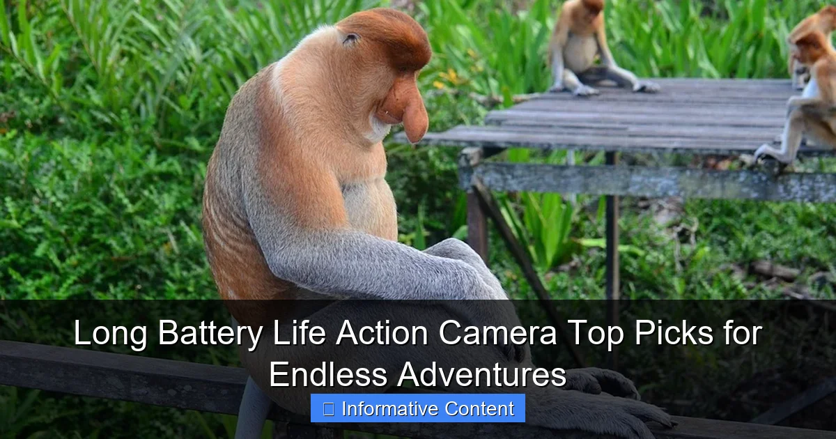 Long Battery Life Action Camera Top Picks for Endless Adventures
