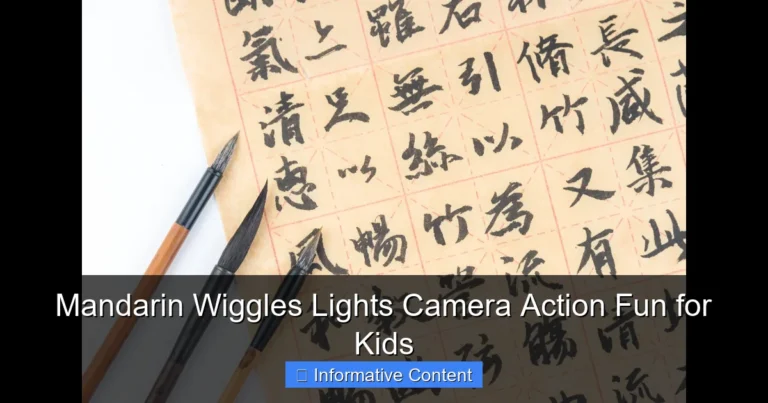 Mandarin Wiggles Lights Camera Action Fun for Kids