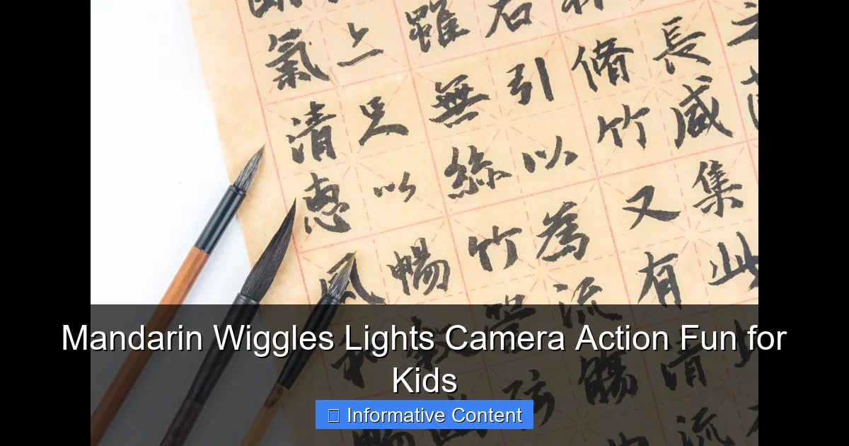 Mandarin Wiggles Lights Camera Action Fun for Kids