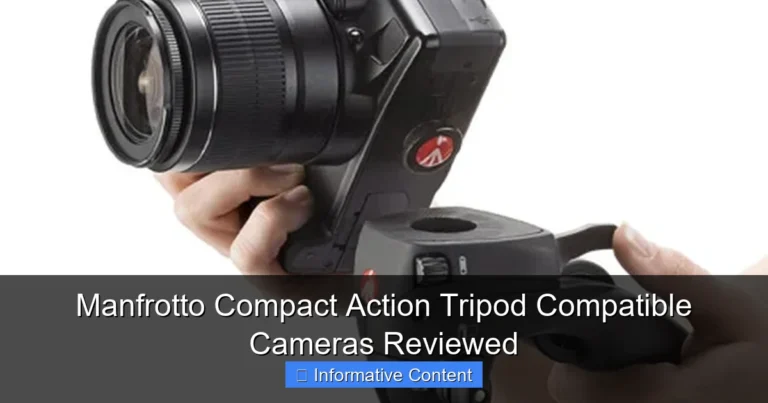 Manfrotto Compact Action Tripod Compatible Cameras Reviewed