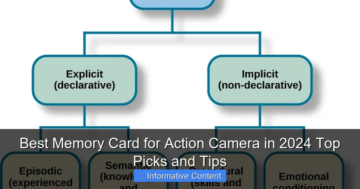 Best Memory Card for Action Camera in 2024 Top Picks and Tips