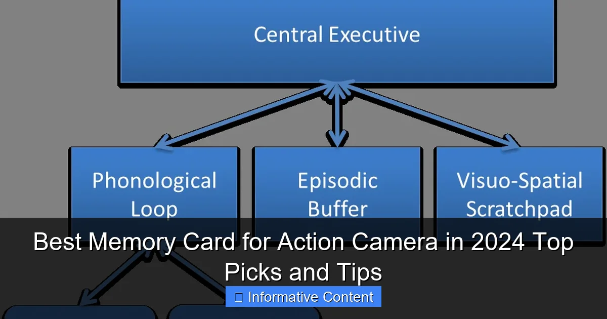 Best Memory Card for Action Camera in 2024 Top Picks and Tips