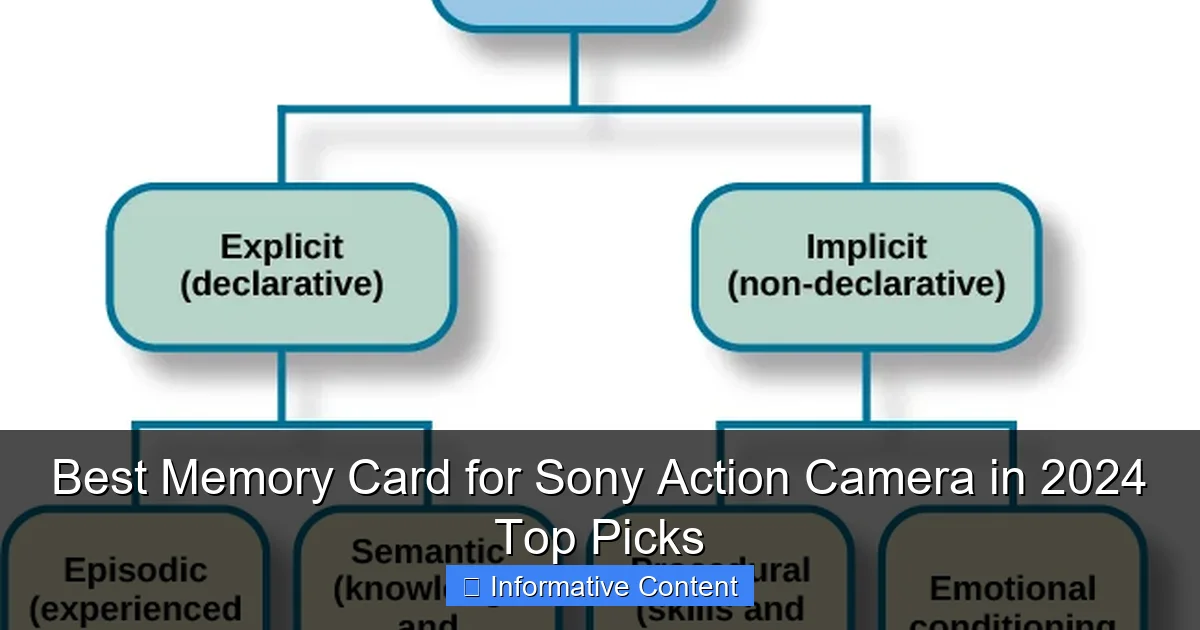 Best Memory Card for Sony Action Camera in 2024 Top Picks