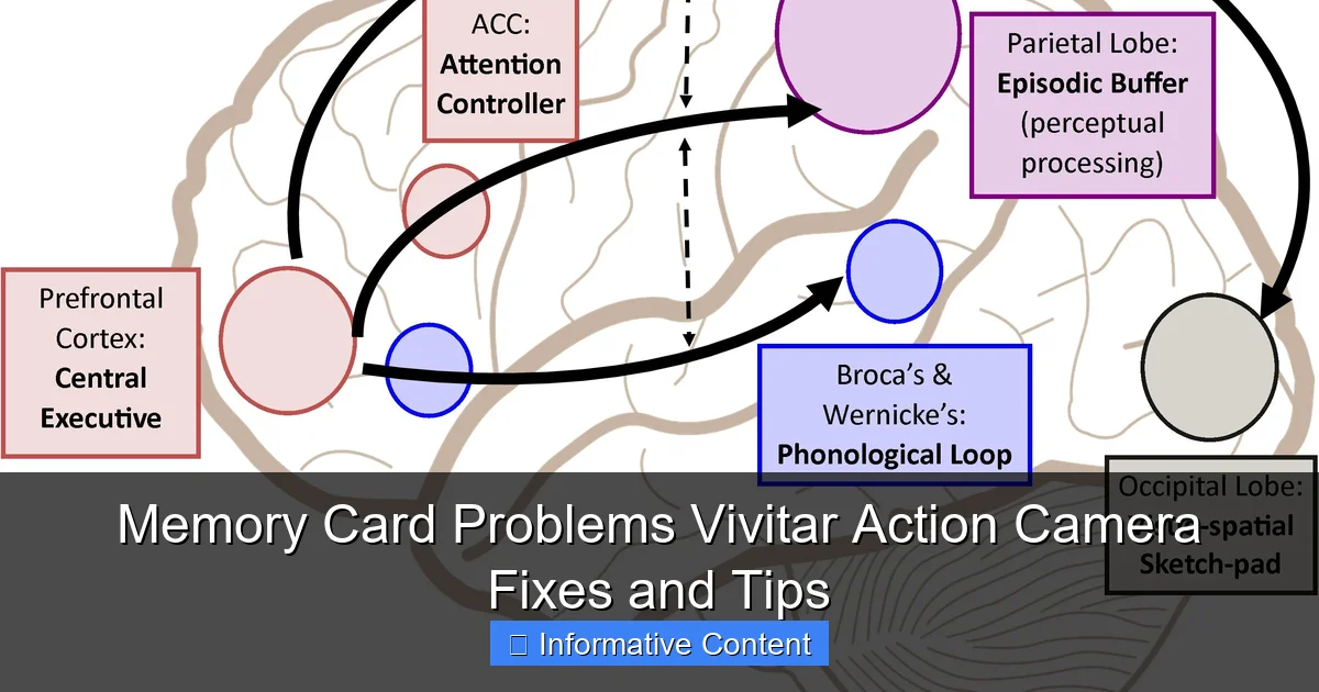 Memory Card Problems Vivitar Action Camera Fixes and Tips
