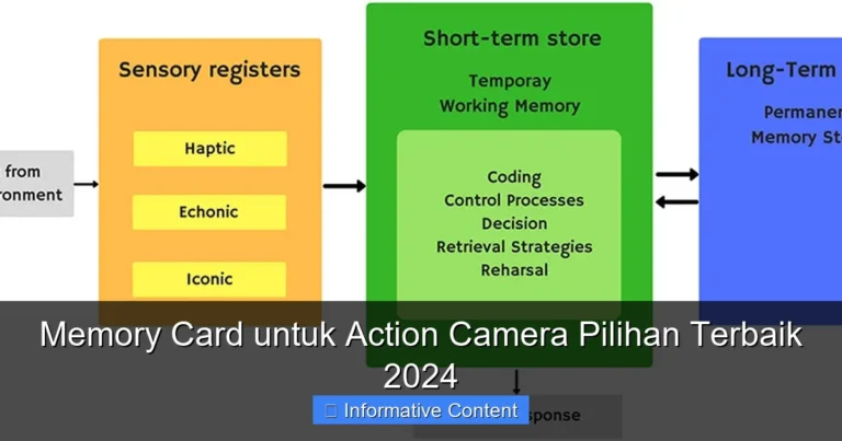 Memory Card untuk Action Camera Pilihan Terbaik 2024