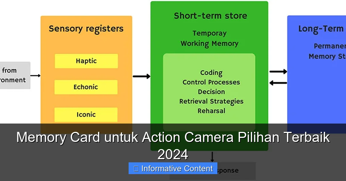 Memory Card untuk Action Camera Pilihan Terbaik 2024