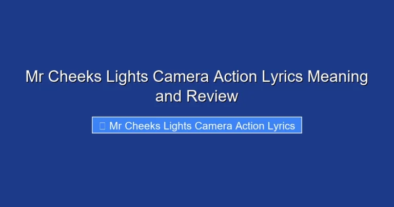 Mr Cheeks Lights Camera Action Lyrics Meaning and Review