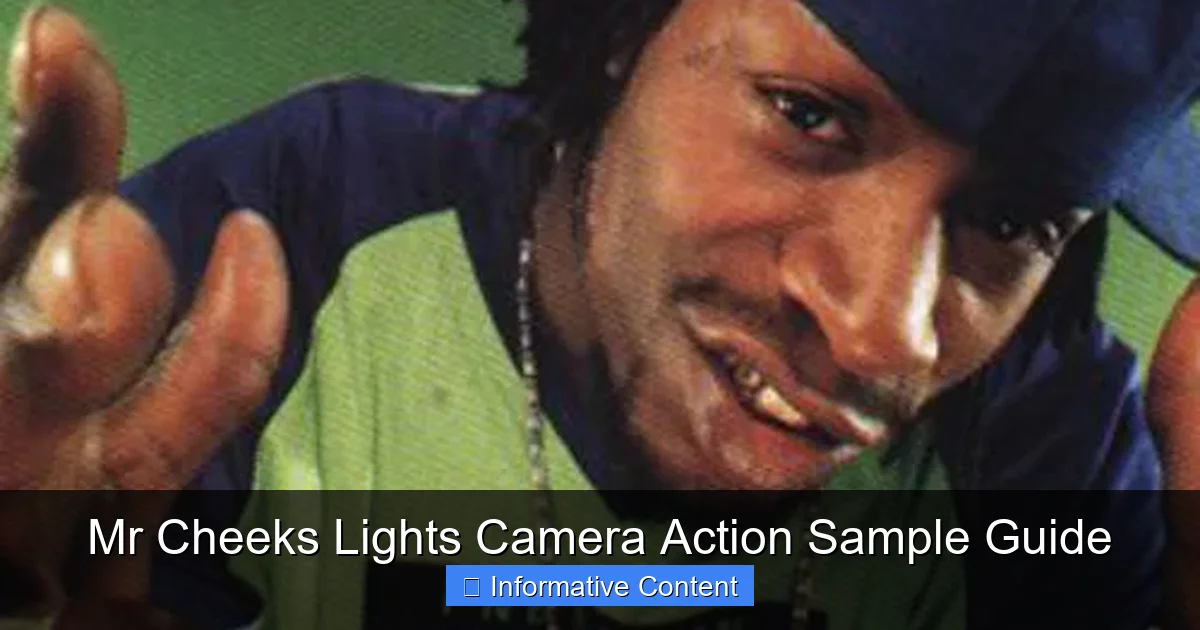 Mr Cheeks Lights Camera Action Sample Guide