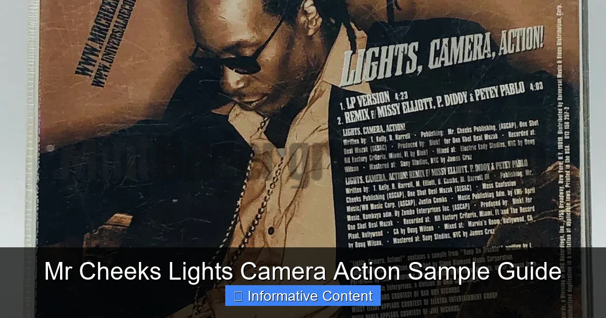 Mr Cheeks Lights Camera Action Sample Guide