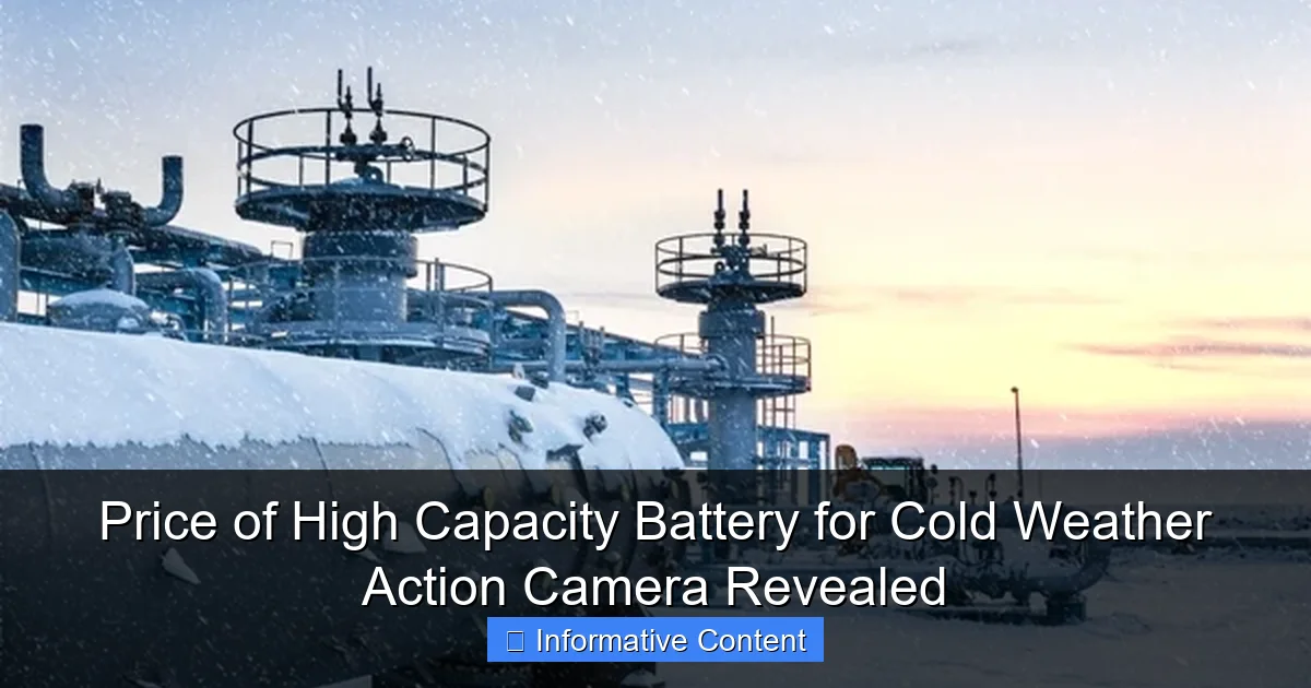 Price of High Capacity Battery for Cold Weather Action Camera Revealed
