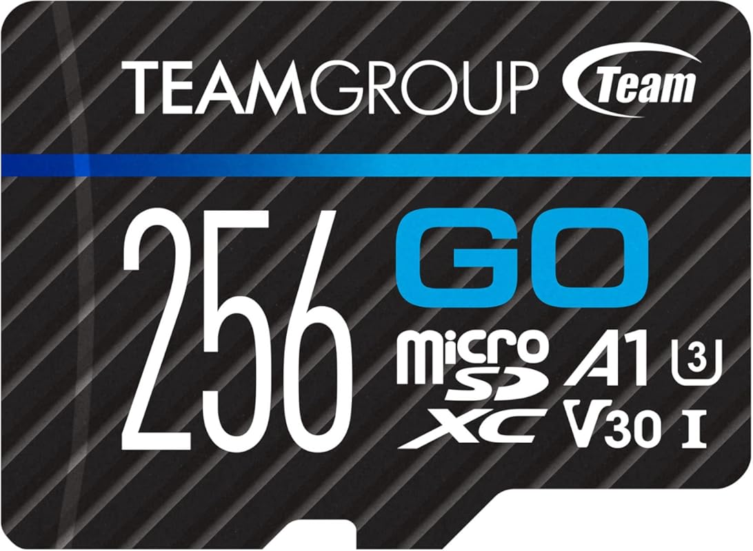 TEAMGROUP GO Card 256GB MicroSDXC UHS-I U3 V30 4K for Action Cameras &