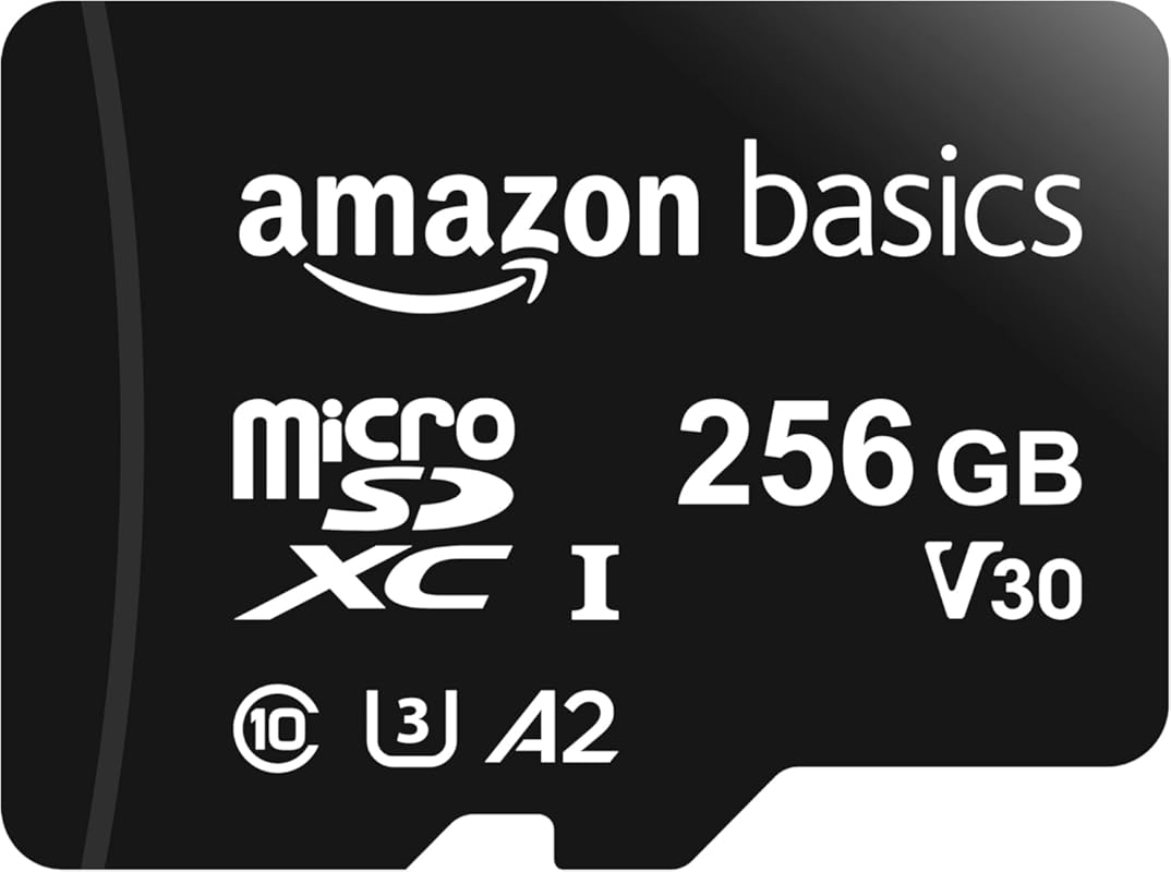 Amazon Basics Micro SDXC Memory Card with Full Size Adapter, A2, U3, R