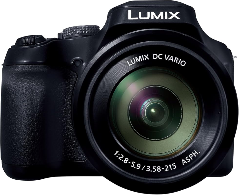 Panasonic LUMIX FZ80D Point and Shoot Digital Camera 4K Photo/Video Re
