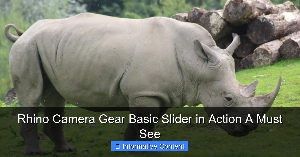 Rhino Camera Gear Basic Slider in Action A Must See
