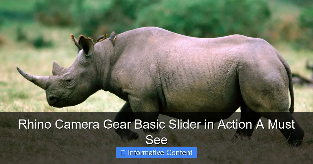 Rhino Camera Gear Basic Slider in Action A Must See