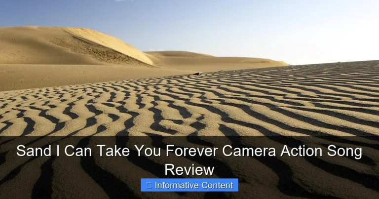 Sand I Can Take You Forever Camera Action Song Review