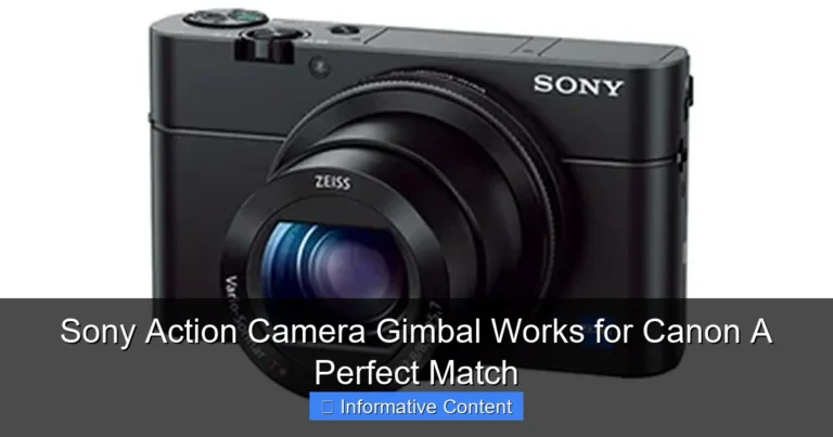 Sony Action Camera Gimbal Works for Canon A Perfect Match