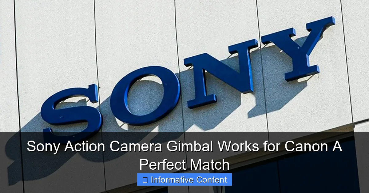 Sony Action Camera Gimbal Works for Canon A Perfect Match
