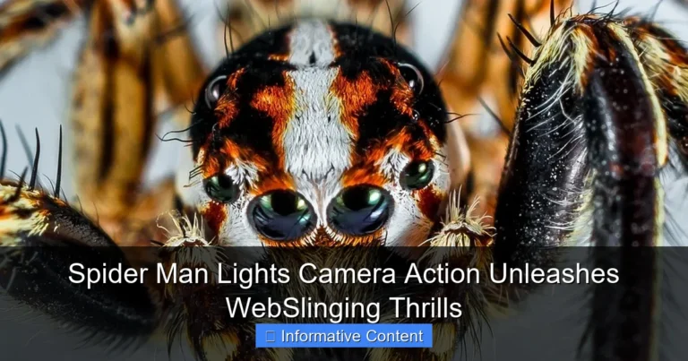 Spider Man Lights Camera Action Unleashes WebSlinging Thrills