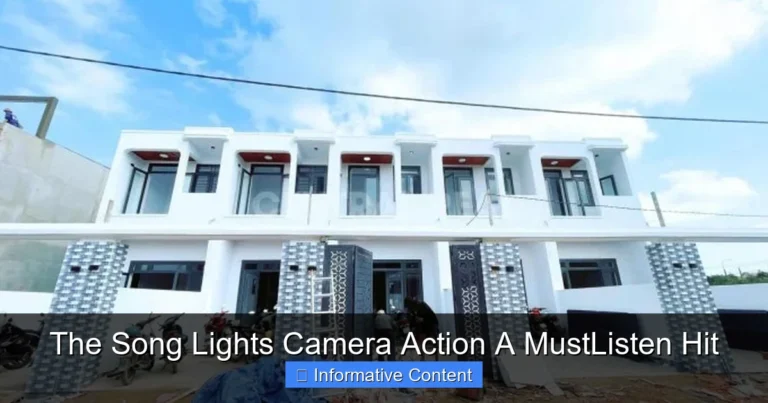 The Song Lights Camera Action A MustListen Hit