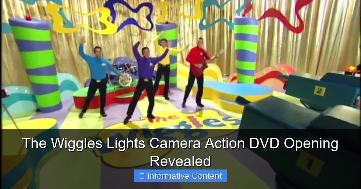 The Wiggles Lights Camera Action DVD Opening Revealed