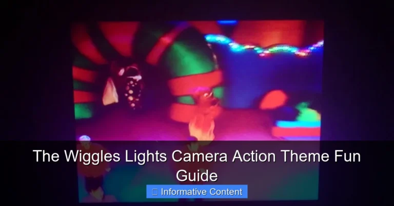 The Wiggles Lights Camera Action Theme Fun Guide