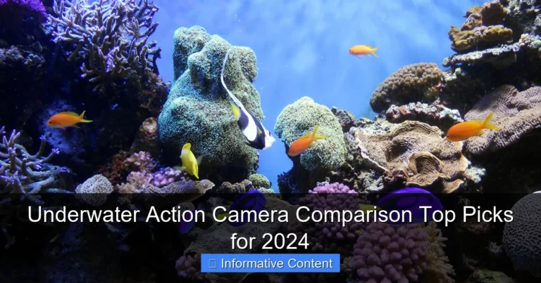 Underwater Action Camera Comparison Top Picks for 2024