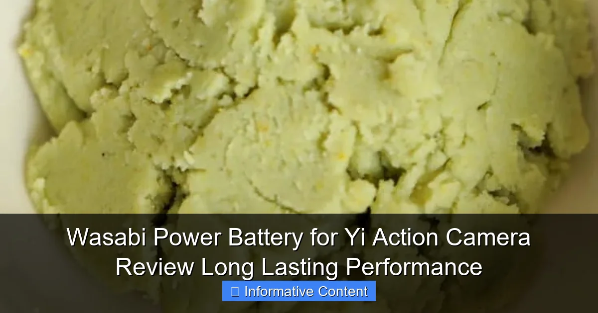 Wasabi Power Battery for Yi Action Camera Review Long Lasting Performance