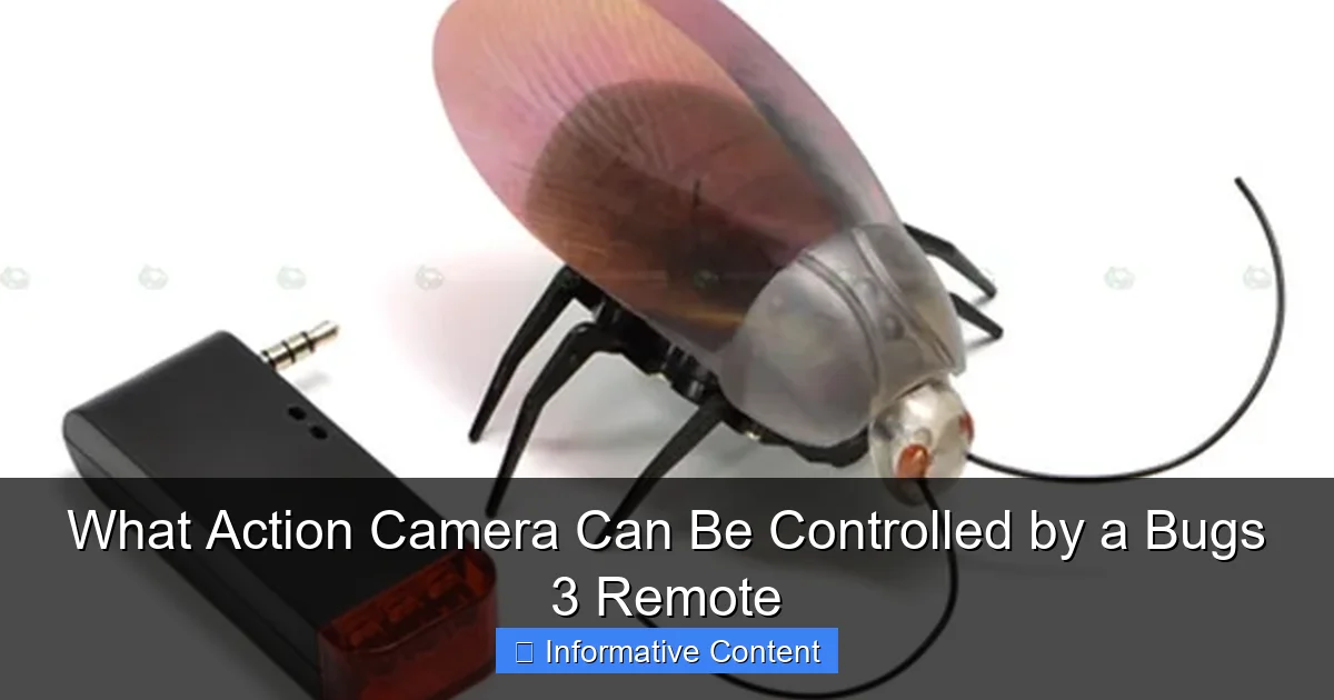What Action Camera Can Be Controlled by a Bugs 3 Remote