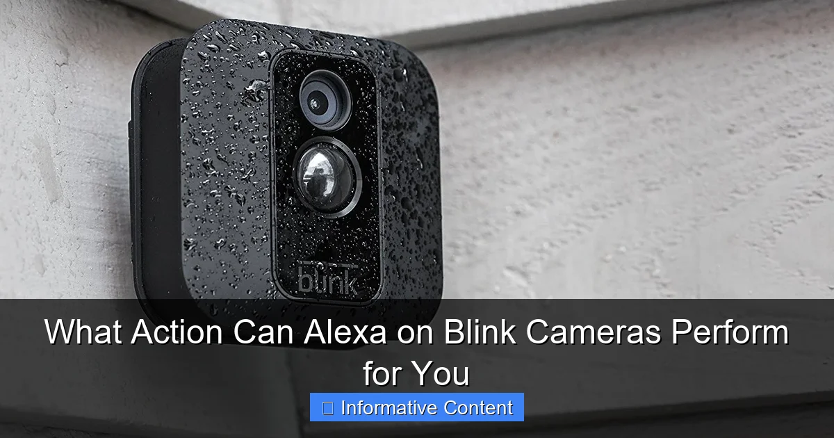 What Action Can Alexa on Blink Cameras Perform for You