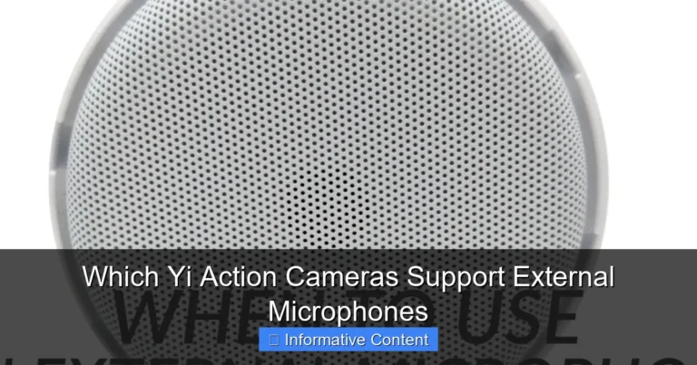 Which Yi Action Cameras Support External Microphones