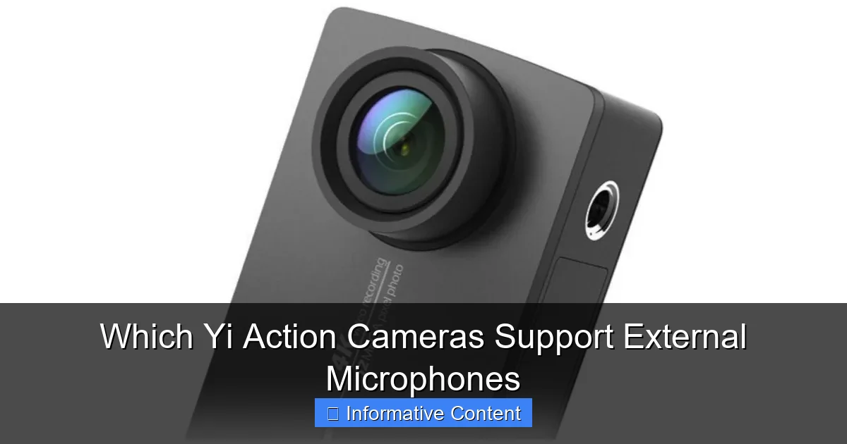 Which Yi Action Cameras Support External Microphones