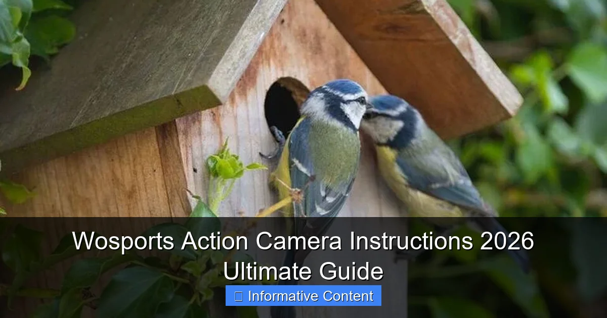 Wosports Action Camera Instructions 2026 Ultimate Guide